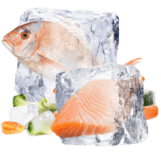 Icecube Ch siamo (1)